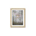 Picture of White Birches In Fall _GroupedProduct_Rectangle_Portrait_Framed_Matted_
