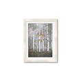Picture of White Birches In Fall _GroupedProduct_Rectangle_Portrait_Framed_Matted_