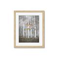 Picture of White Birches In Fall _GroupedProduct_Rectangle_Portrait_Framed_Matted_