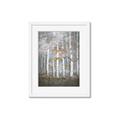 Picture of White Birches In Fall _GroupedProduct_Rectangle_Portrait_Framed_Matted_