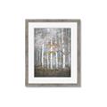 Picture of White Birches In Fall _GroupedProduct_Rectangle_Portrait_Framed_Matted_