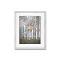 Picture of White Birches In Fall _GroupedProduct_Rectangle_Portrait_Framed_Matted_