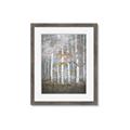 Picture of White Birches In Fall _GroupedProduct_Rectangle_Portrait_Framed_Matted_