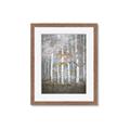 Picture of White Birches In Fall _GroupedProduct_Rectangle_Portrait_Framed_Matted_