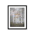 Picture of White Birches In Fall _GroupedProduct_Rectangle_Portrait_Framed_Matted_