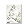 Picture of Layered Leaves II _GroupedProduct_Rectangle_Portrait_Framed_Matted_