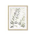 Picture of Layered Leaves II _GroupedProduct_Rectangle_Portrait_Framed_Matted_