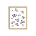 Picture of All around buggy I  _GroupedProduct_Rectangle_Portrait_Framed_Matted_