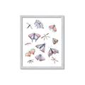 Picture of All around buggy I  _GroupedProduct_Rectangle_Portrait_Framed_Matted_