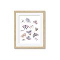Picture of All around buggy I  _GroupedProduct_Rectangle_Portrait_Framed_Matted_