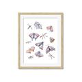 Picture of All around buggy I  _GroupedProduct_Rectangle_Portrait_Framed_Matted_