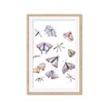 Picture of All around buggy I  _GroupedProduct_Rectangle_Portrait_Framed_Matted_