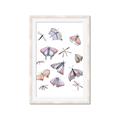 Picture of All around buggy I  _GroupedProduct_Rectangle_Portrait_Framed_Matted_