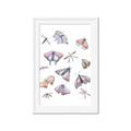 Picture of All around buggy I  _GroupedProduct_Rectangle_Portrait_Framed_Matted_