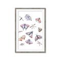 Picture of All around buggy I  _GroupedProduct_Rectangle_Portrait_Framed_Matted_