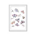 Picture of All around buggy I  _GroupedProduct_Rectangle_Portrait_Framed_Matted_