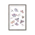 Picture of All around buggy I  _GroupedProduct_Rectangle_Portrait_Framed_Matted_