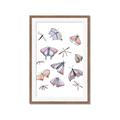 Picture of All around buggy I  _GroupedProduct_Rectangle_Portrait_Framed_Matted_
