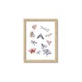 Picture of All around buggy II _GroupedProduct_Rectangle_Portrait_Framed_Matted_