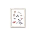 Picture of All around buggy II _GroupedProduct_Rectangle_Portrait_Framed_Matted_