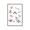 Picture of All around buggy II _GroupedProduct_Rectangle_Portrait_Framed_Matted_