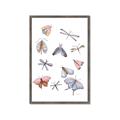 Picture of All around buggy II _GroupedProduct_Rectangle_Portrait_Framed_Matted_