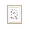 Picture of All around buggy II _GroupedProduct_Rectangle_Portrait_Framed_Matted_