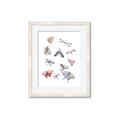 Picture of All around buggy II _GroupedProduct_Rectangle_Portrait_Framed_Matted_