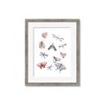 Picture of All around buggy II _GroupedProduct_Rectangle_Portrait_Framed_Matted_