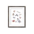 Picture of All around buggy II _GroupedProduct_Rectangle_Portrait_Framed_Matted_