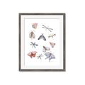 Picture of All around buggy II _GroupedProduct_Rectangle_Portrait_Framed_Matted_