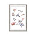 Picture of All around buggy II _GroupedProduct_Rectangle_Portrait_Framed_Matted_