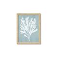 Picture of Coral Leaves II _GroupedProduct_Rectangle_Portrait_Framed_Matted_