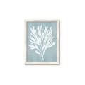 Picture of Coral Leaves II _GroupedProduct_Rectangle_Portrait_Framed_Matted_