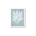 Picture of Coral Leaves II _GroupedProduct_Rectangle_Portrait_Framed_Matted_