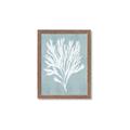 Picture of Coral Leaves II _GroupedProduct_Rectangle_Portrait_Framed_Matted_
