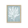 Picture of Coral Leaves II _GroupedProduct_Rectangle_Portrait_Framed_Matted_