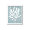 Picture of Coral Leaves II _GroupedProduct_Rectangle_Portrait_Framed_Matted_