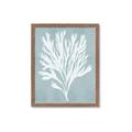 Picture of Coral Leaves II _GroupedProduct_Rectangle_Portrait_Framed_Matted_
