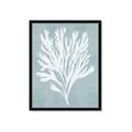 Picture of Coral Leaves II _GroupedProduct_Rectangle_Portrait_Framed_Matted_