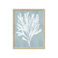 Picture of Coral Leaves II _GroupedProduct_Rectangle_Portrait_Framed_Matted_