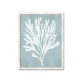 Picture of Coral Leaves II _GroupedProduct_Rectangle_Portrait_Framed_Matted_