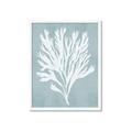 Picture of Coral Leaves II _GroupedProduct_Rectangle_Portrait_Framed_Matted_