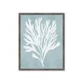 Picture of Coral Leaves II _GroupedProduct_Rectangle_Portrait_Framed_Matted_