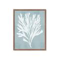 Picture of Coral Leaves II _GroupedProduct_Rectangle_Portrait_Framed_Matted_
