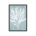 Picture of Coral Leaves II _GroupedProduct_Rectangle_Portrait_Framed_Matted_