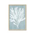 Picture of Coral Leaves II _GroupedProduct_Rectangle_Portrait_Framed_Matted_