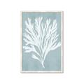 Picture of Coral Leaves II _GroupedProduct_Rectangle_Portrait_Framed_Matted_
