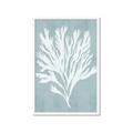 Picture of Coral Leaves II _GroupedProduct_Rectangle_Portrait_Framed_Matted_