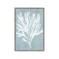 Picture of Coral Leaves II _GroupedProduct_Rectangle_Portrait_Framed_Matted_